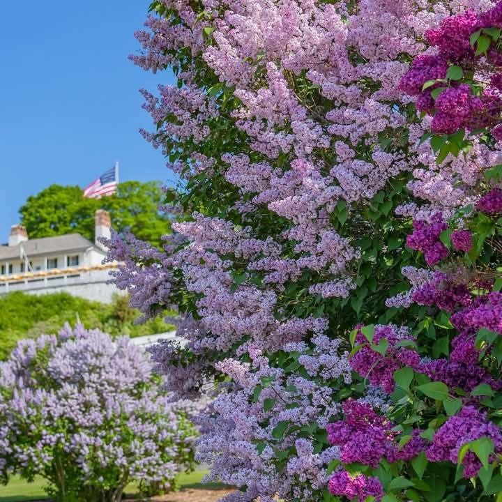 Scenery of Mackinac Island